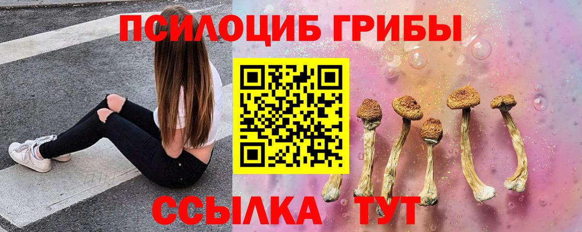 Протвино  Псилоцибиновые грибы прущие грибы  Псилоцибиновые грибы мухоморы  Вход с VPN 